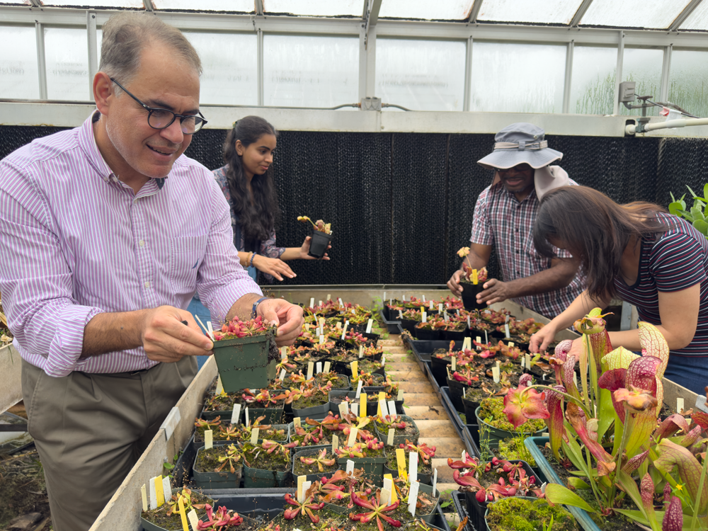 Magdy Alabady with students in the greenhouse. 