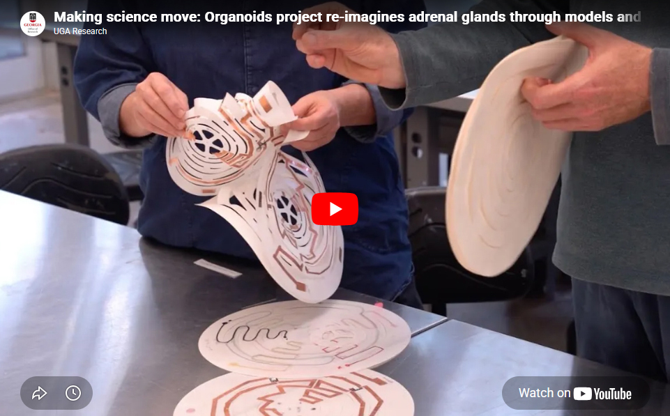Screenshot of organoids video