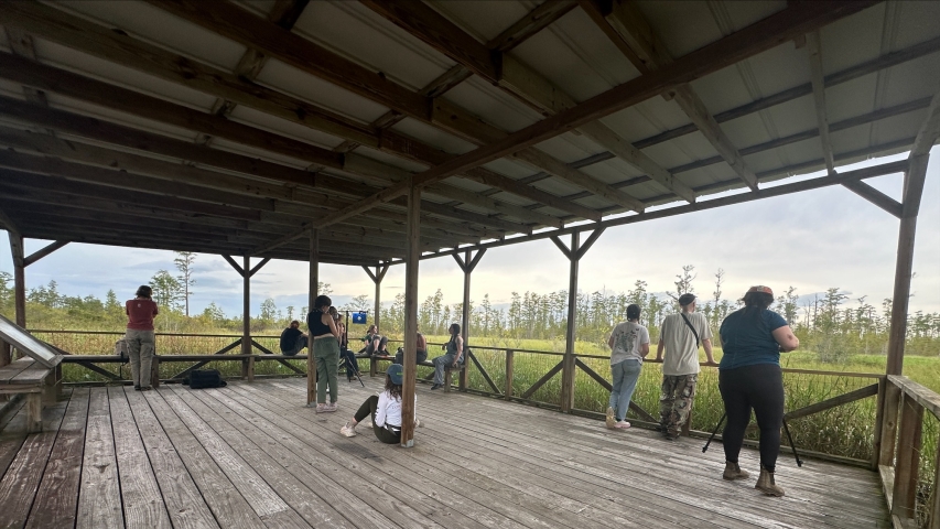 photo of people on covered platform near swamp