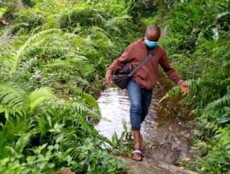 photo of man walking next to small river, with plants 