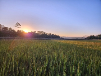 photo of sunrise over marsh