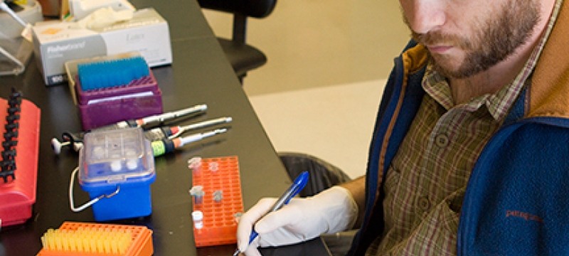 man in lab with gloves