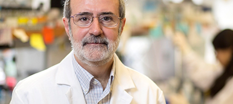 scientist in laboratory