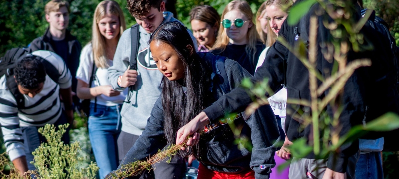 photo of students in garden with medicinal plants 