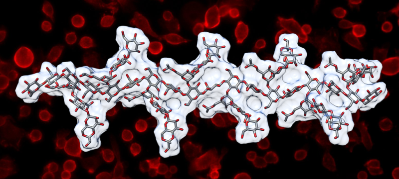 composite image of molecule and photography of human cells