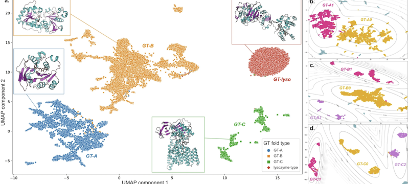 graphic of colored representing projection