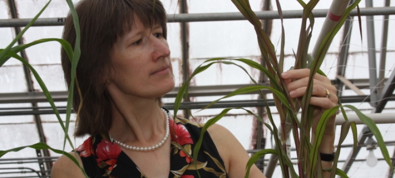 photo of woman with plant leaves