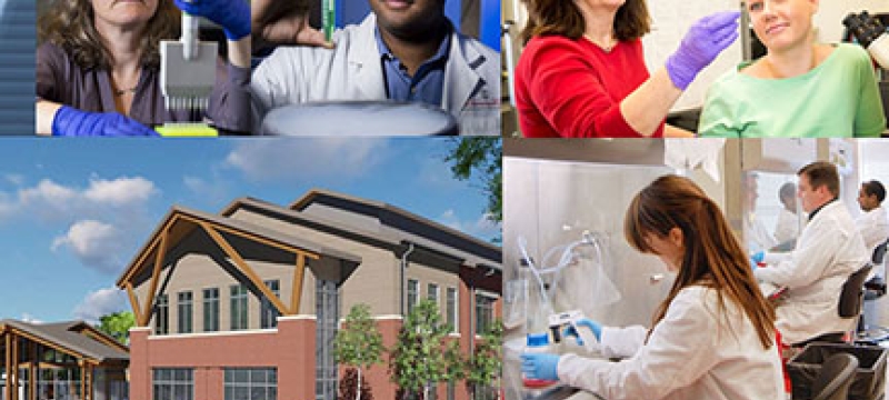 montage pf laboratory photos with people