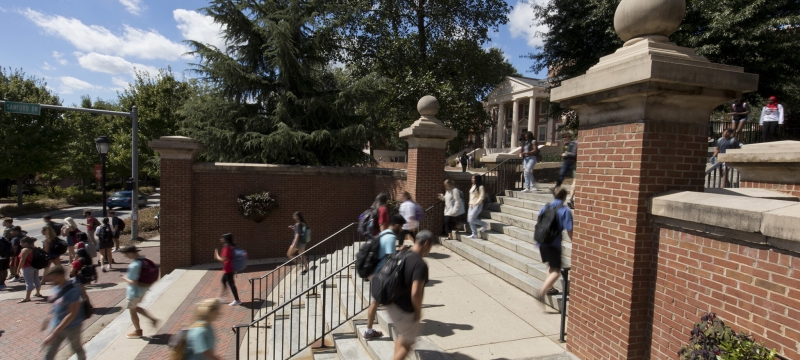 photo of people walking up steps, sunny day