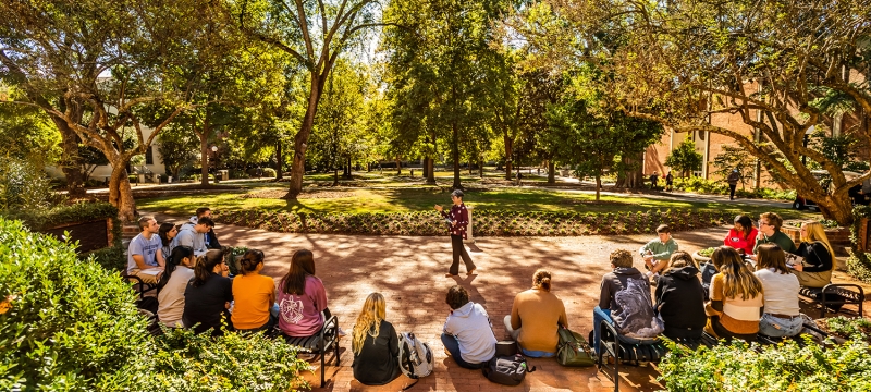 photo of people on north campus quad, day, with trees, shadows