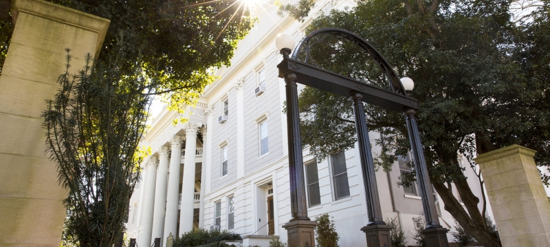 photo of arch, with buildings, tree, day