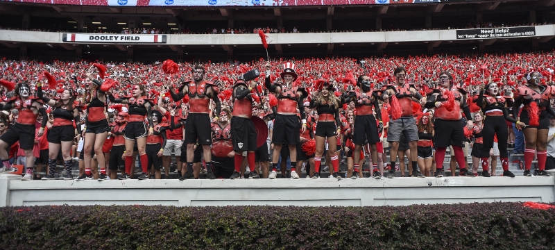 photo of people in the stands awn game day