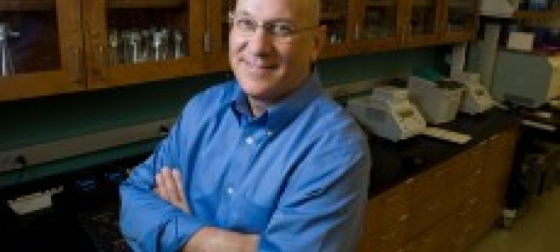 rick tarleton in his lab