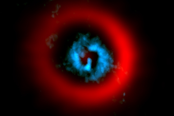 telescope image with red ring and blue center in dark space